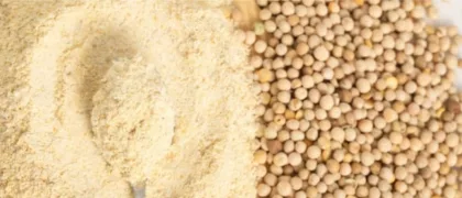 Maîtriser les risques potentiels liés aux isoflavones