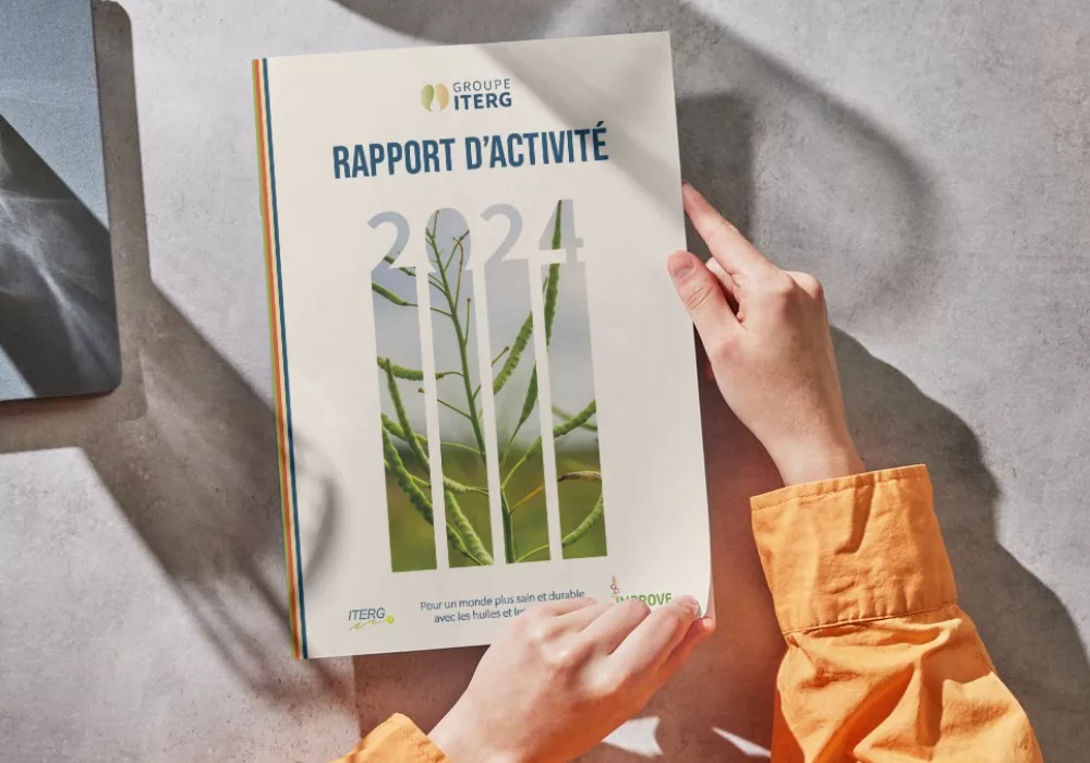 Rapport annuel 2024