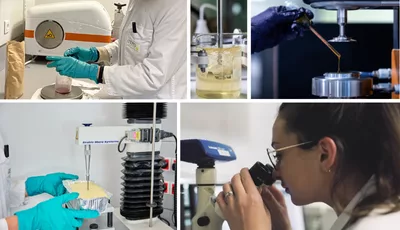 Formulation à base de protéines et lipides végétaux : thèse EPICES