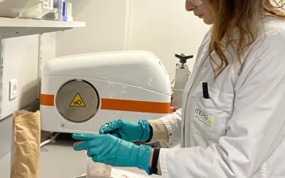 Formulation à base de protéines et lipides végétaux : nouvelle thèse EPICES