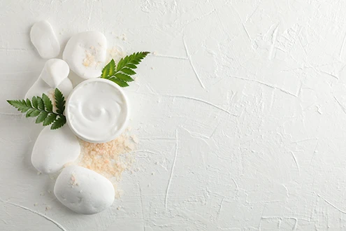 Créme produits biosourcés - Formulation ITERG Crème cosmétique biosourcée posée sur des galets blancs avec feuilles vertes - ITERG