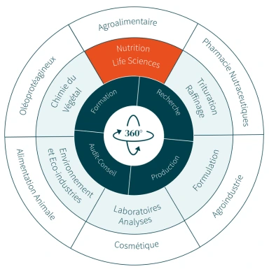 Infographie illustrant l’intégration de l’unité Nutrition & Life Sciences dans l’écosystème d’expertise 360° d’ITERG.