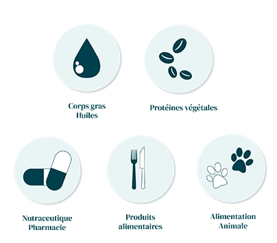 Pictogrammes-Nutrition Icônes représentant les cinq domaines d'expertise : corps gras et huiles, protéines végétales, nutraceutique et pharmacie, produits alimentaires, alimentation animale.