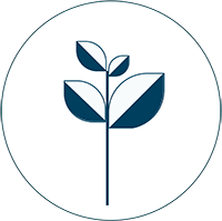 Pictogrammes-vicine Icône représentant une jeune plante stylisée avec trois feuilles.