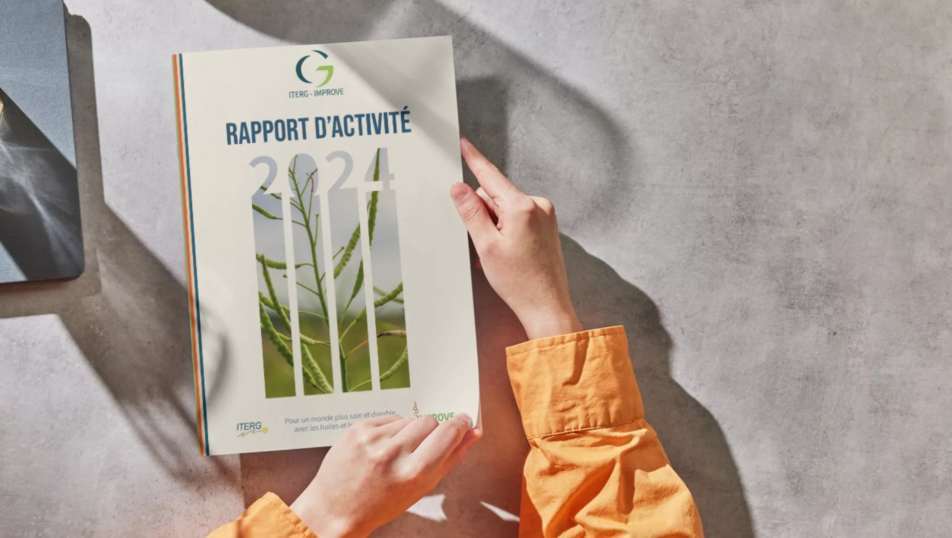 Rapport annuel 2024