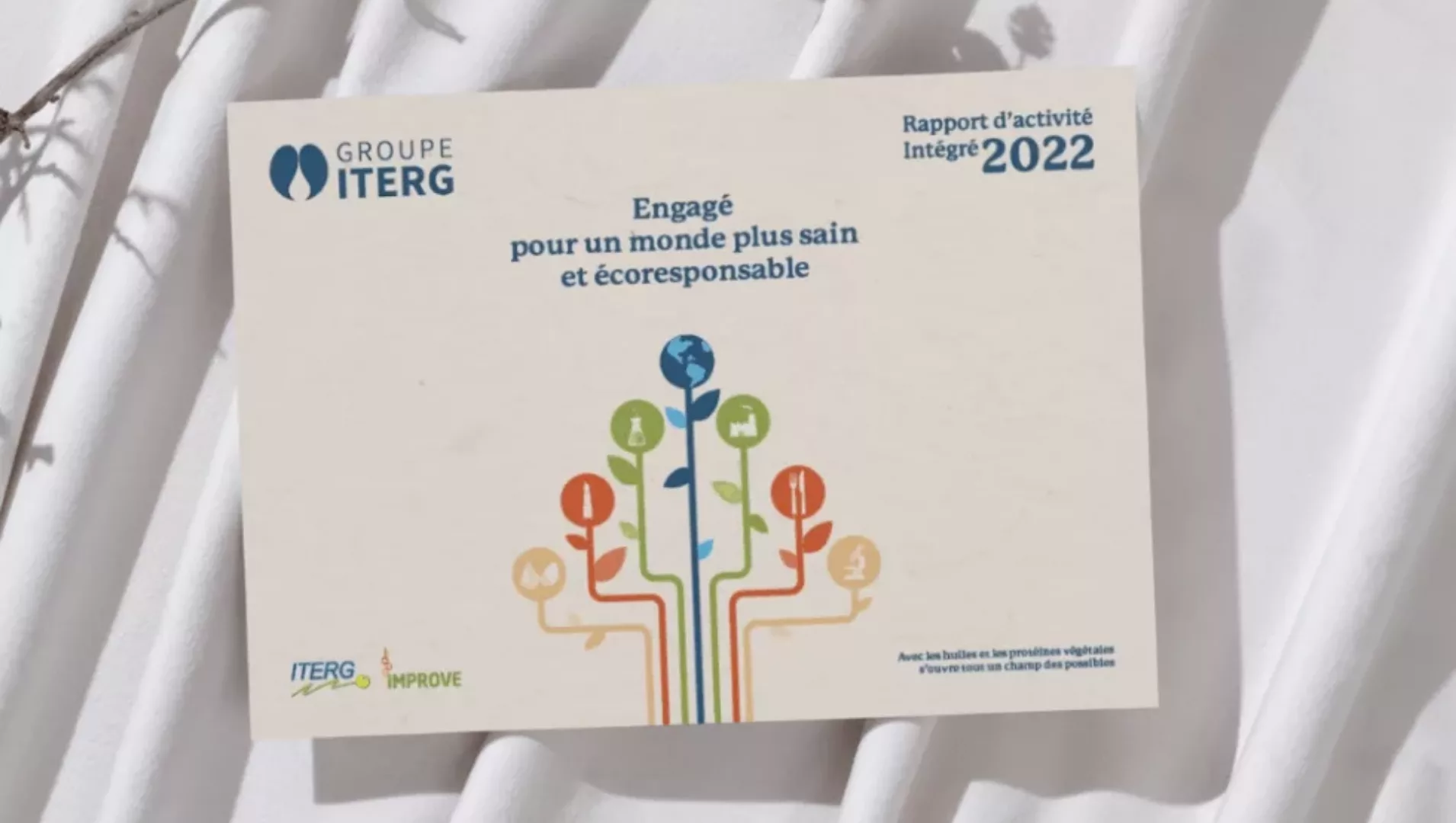 Rapport annuel 2022