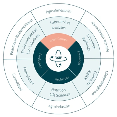 audit - conseil 360 Schéma circulaire illustrant les domaines d’expertise d’un centre de recherche, avec une approche 360° incluant l’audit, la recherche, la production, la formation et l’analyse