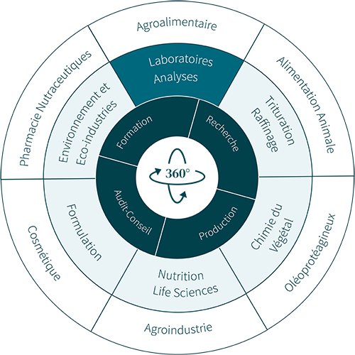 Schéma circulaire illustrant l’approche 360° d’ITERG, centrée sur les laboratoires d’analyses, avec des activités comme la recherche, la production, la formation et l’audit-conseil, connectées à des secteurs variés comme la chimie du végétal, la nutrition, la cosmétique ou l’agroalimentaire.