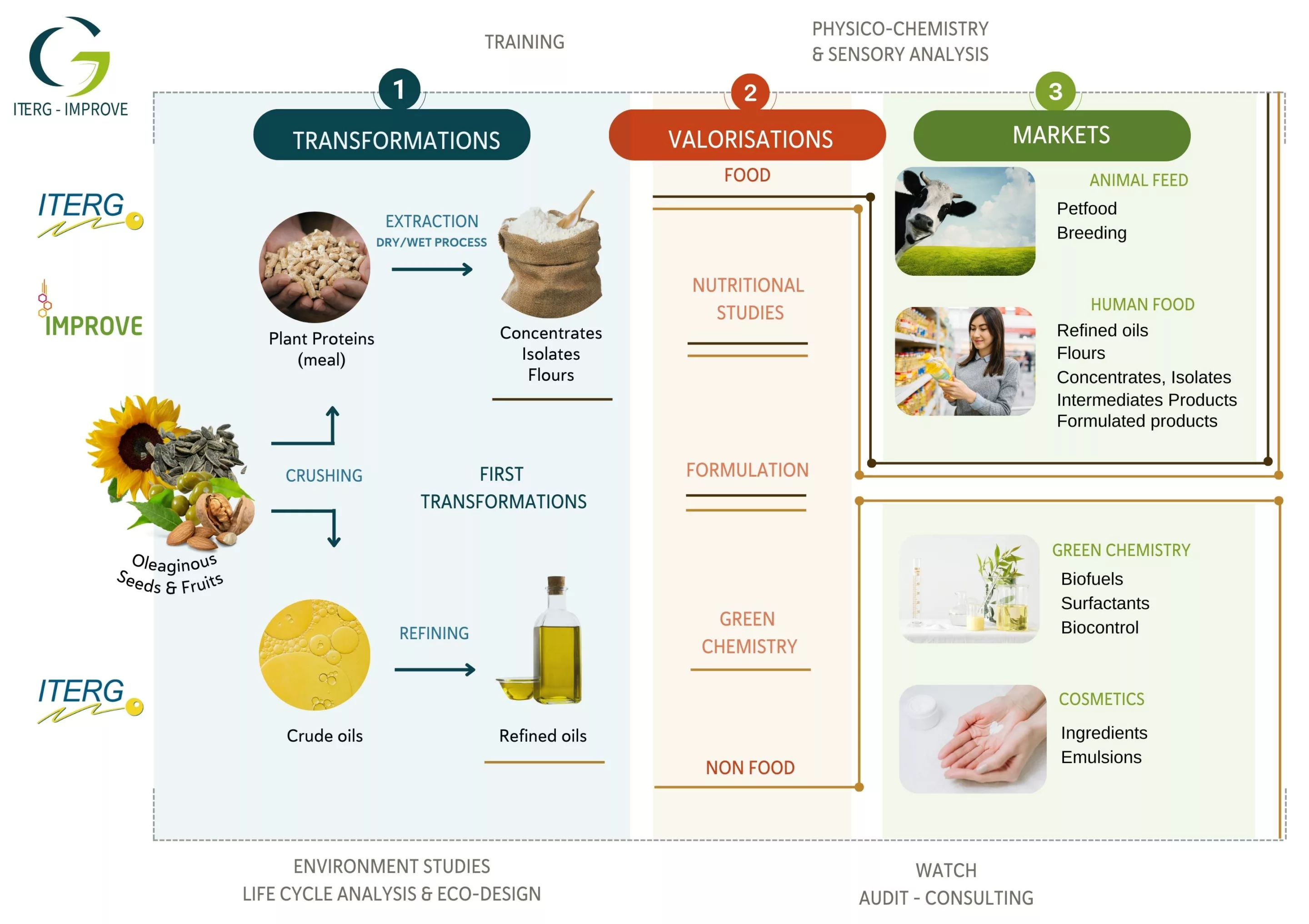 ITERG-IMPROVE GROUP COMPETENCIES AND DOWNSTREAM MARKETS