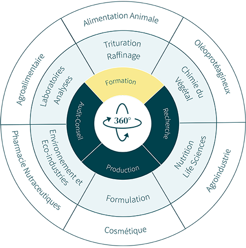 Formation Schéma circulaire illustrant l’approche 360° centrée sur la “Formation”, entourée des pôles “Audit-Conseil, Production, Recherche”, et des secteurs d’application comme “Nutrition Life Sciences”, “Cosmétique”, “Environnement et Éco-industries” ou encore “Trituration Raffinage”.