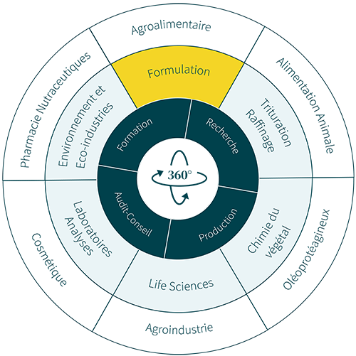 Schéma circulaire 360° présentant les expertises d’ITERG : au centre, les activités clés (Audit-conseil, Formation, Recherche, Production), entourées de domaines transverses comme Formulation, Chimie du végétal, Laboratoires Analyses, avec des secteurs d’application tels que Agroalimentaire, Cosmétique, Environnement, Life Sciences ou Agroindustrie.