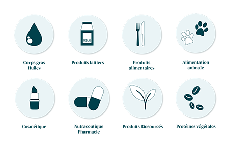 Pictogrammes représentant les domaines d’analyse : corps gras, produits laitiers, produits alimentaires, alimentation animale, cosmétique, nutraceutiques/pharmacie, produits biosourcés et protéines végétales.