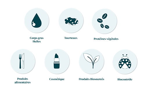 Sept pictogrammes illustrant différentes catégories de produits : Corps gras/Huiles (goutte), Tourteaux (forme granuleuse), Protéines végétales (graines), Produits alimentaires (fourchette et couteau), Cosmétique (rouge à lèvres), Produits biosourcés (feuille), et Biocontrôle (coccinelle).