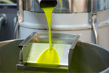  Huile végétale jaune-vert en cours d’extraction par pressage mécanique, s’écoulant dans une cuve inox en environnement industriel.
