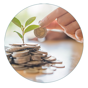 mutuelle Main déposant une pièce sur une pile de monnaie à côté d’une plante verte.</p>
<p>