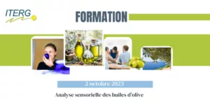 2025-10-02 Formation : Analyse sensorielle des huiles d’olive
