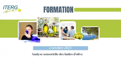 Affiche de la formation ITERG « Analyse sensorielle des huiles d’olive », prévue le 2 octobre 2025, illustrée par des photos de dégustation, d’huiles d’olive et d’oliveraies.
