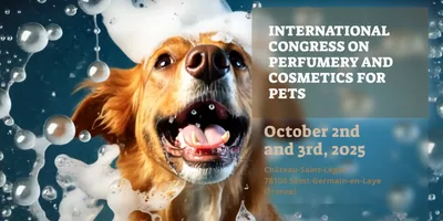 Chien mouillé recouvert de mousse de savon, utilisé comme visuel d’annonce pour l’« International Congress on Perfumery and Cosmetics for Pets », prévu les 2 et 3 octobre 2025 à Saint-Germain-en-Laye, France.