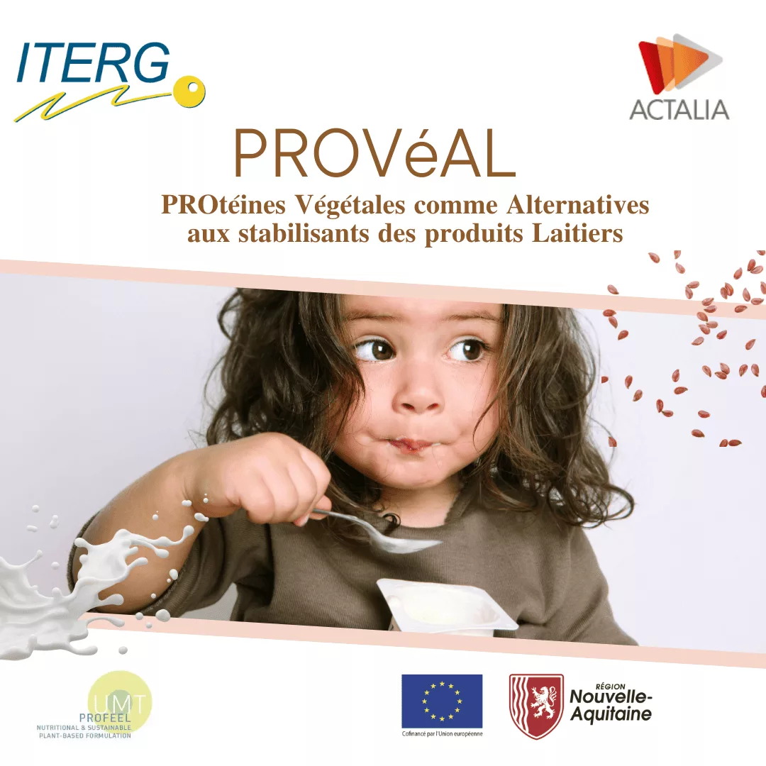 PROVĂAL đđđđđÌđąđ§đđŹ đđÌđ đÌđđđ„đđŹ đđšđŠđŠđ đđ„đđđ«đ§đđđąđŻđđŹ đđźđ± đŹđđđđąđ„đąđŹđđ§đđŹ đđđŹ đ©đ«đšđđźđąđđŹ đđđąđđąđđ«đŹ