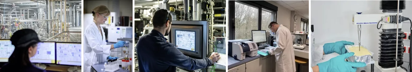 Chimie du végétale - ITERG Bandeau illustrant des activités de lipochimie au sein d'ITERG