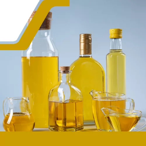 fiche information-1 fiche info-1