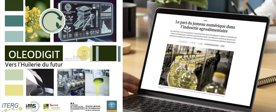 Vers l’huilerie du futur : le projet OLEODIGIT à la une