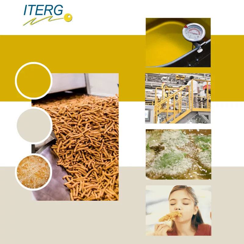 ITERG réalise des audits friture pour les industriels agroalimentaires