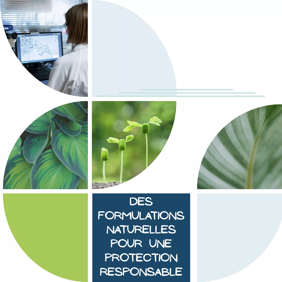 ITERG réalise des audits friture pour les industriels agroalimentaires