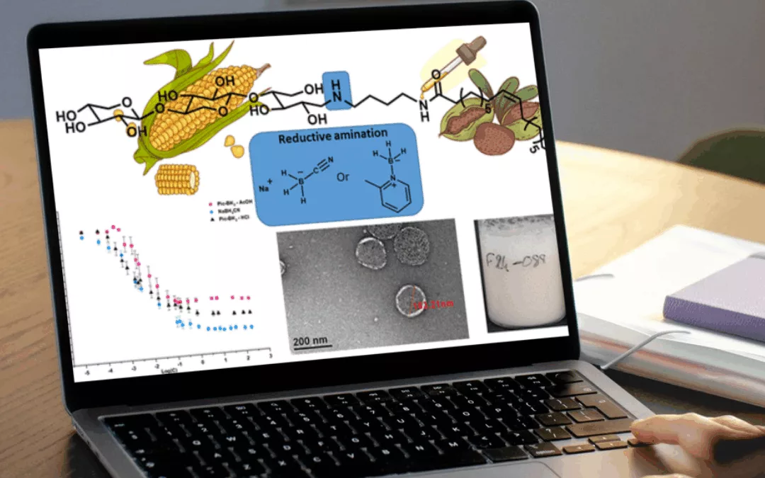 Tensioactifs biosourcés : innovations & applications