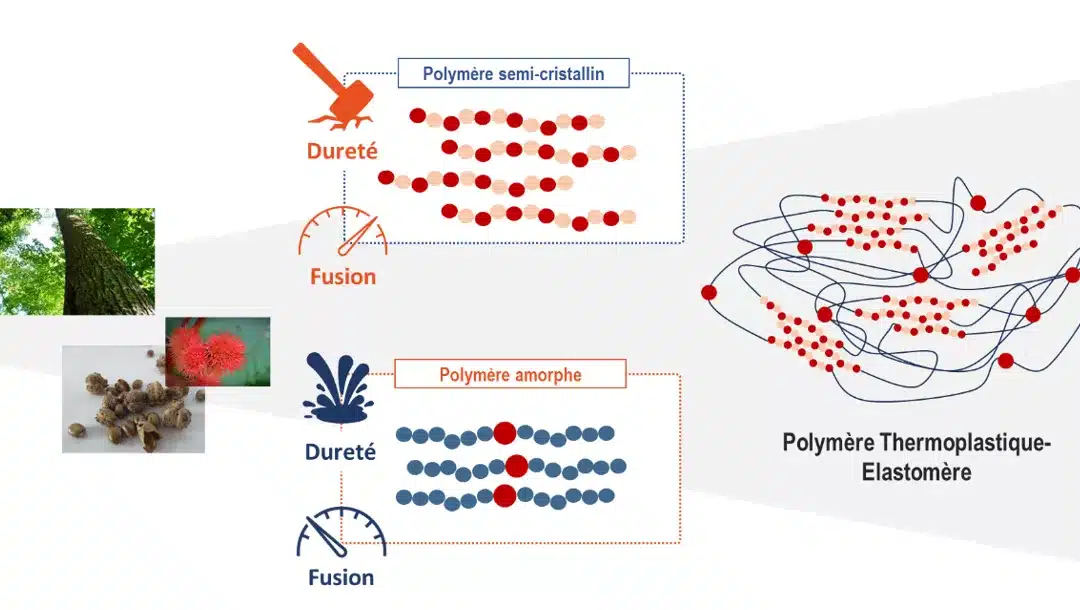 Des polymères biosourcés pour les marchés de demain
