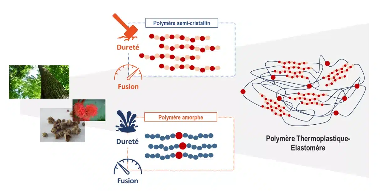 Des polymères biosourcés pour les marchés de demain