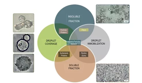Multifunctionality of plant-derived powders: a Pickering approach